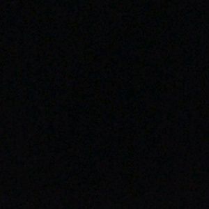 Meet your Posher, Lila